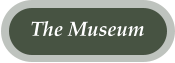 The Museum