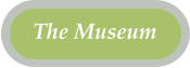 The Museum