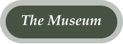 The Museum